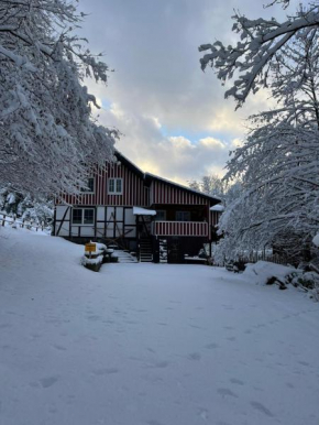 Alte Mühle- das Ferienhaus mitten im Grünen